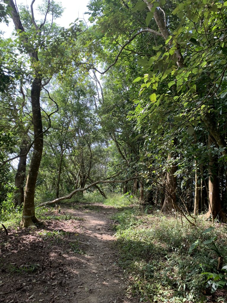 20231111台南烏山縱走_2354202