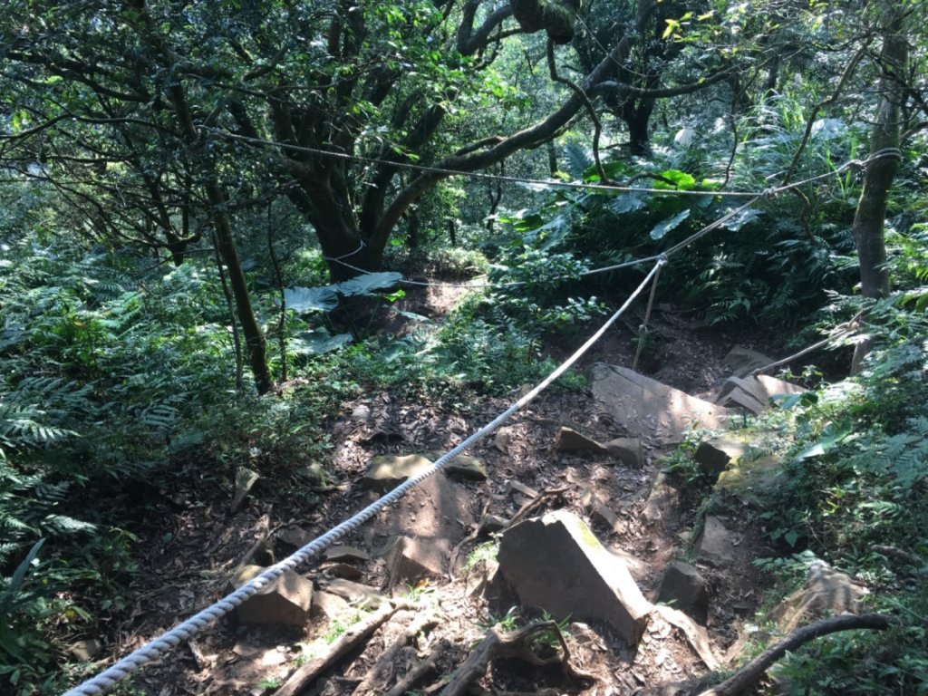 20200202_大屯山群峰_821887