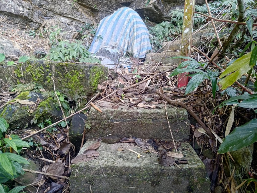 回歸自然的山羊古道_2678646