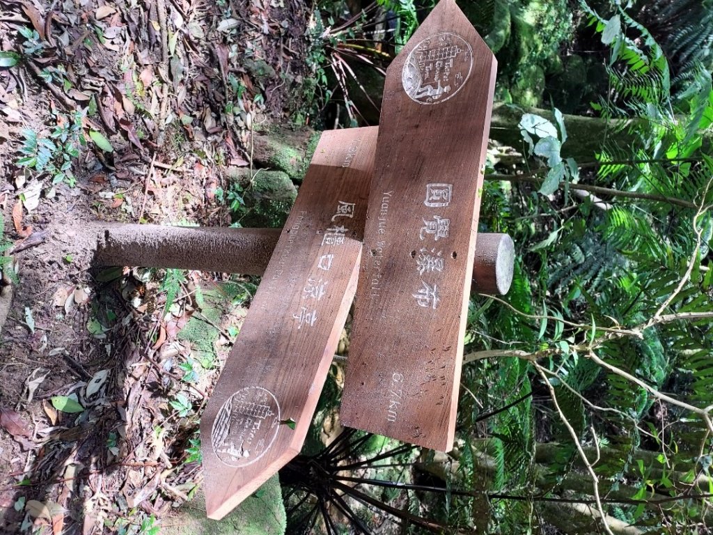 大縱走第四段：風櫃口～中華科大_1742483