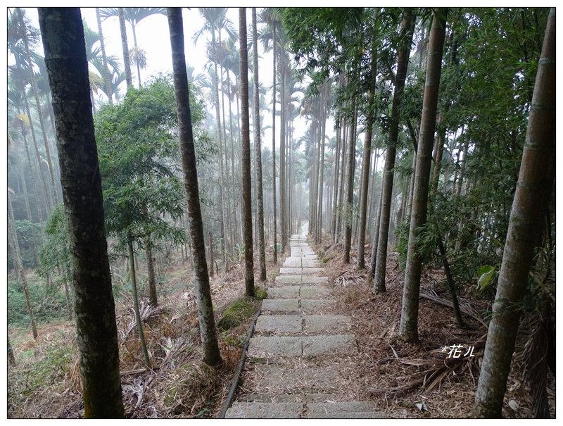 古坑/雲嘉大尖山_720575
