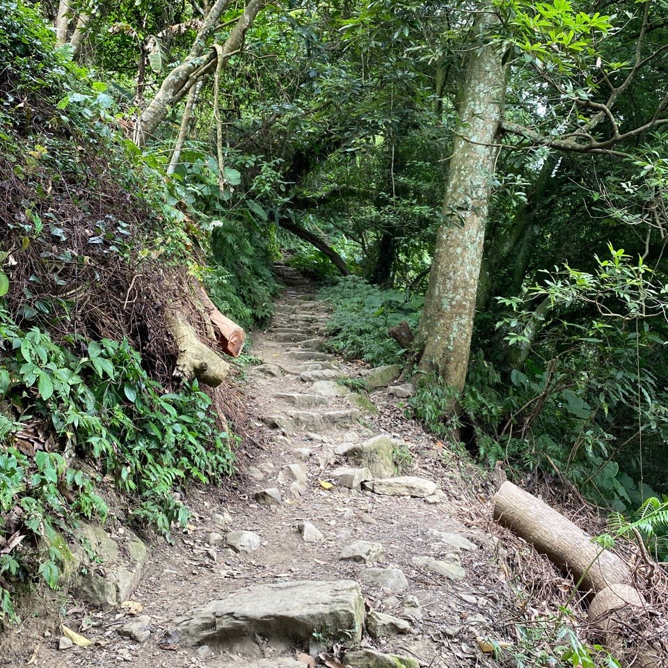 沒想到在這也能看見牠的身影!_1319366