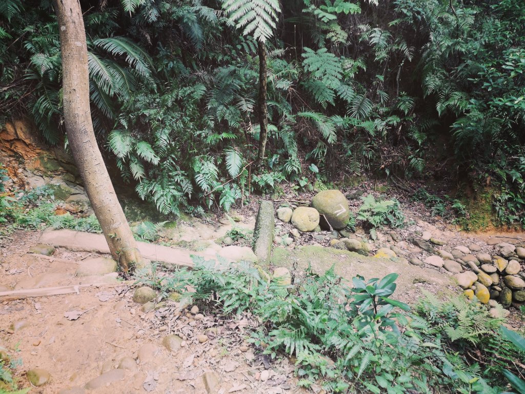 我從福人步道走去大北坑吃好料_818694