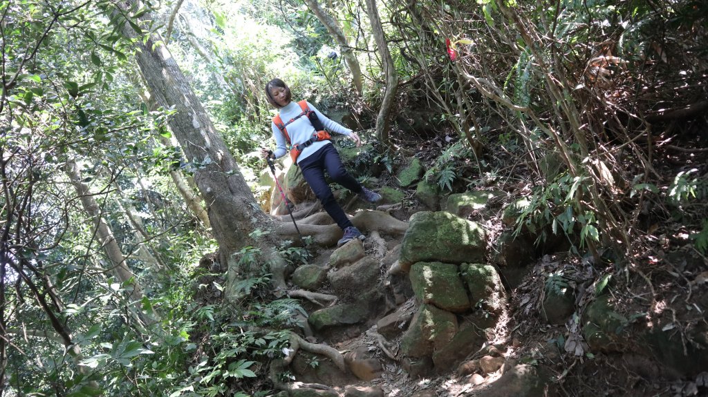 溪洲山登山健行趣(小百岳26號)_2069775