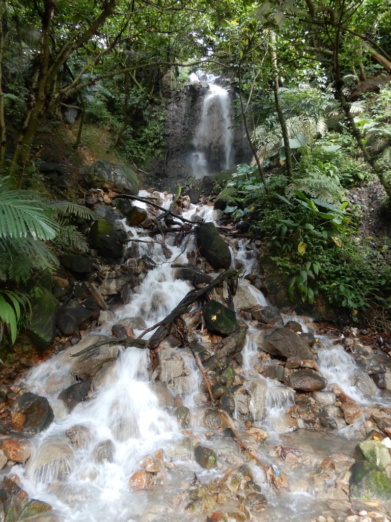 鹿角坑古道+楓林瀑布_1116612
