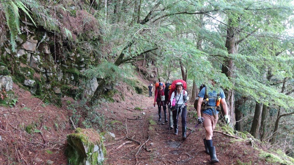 雙龍林道上巒安堂西巒大山_1778977
