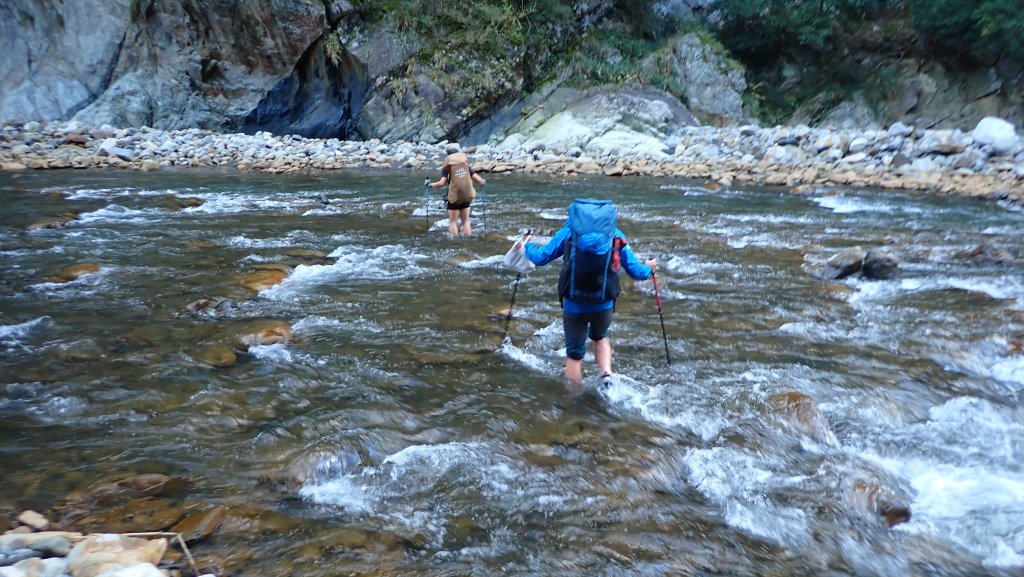 台灣最高如神般存在的大安溪倚天劍巨木探訪_2747943