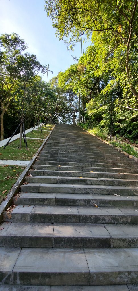 2020/07/18臺北大縱走第七段：名門社區公車站至飛龍步_1166399