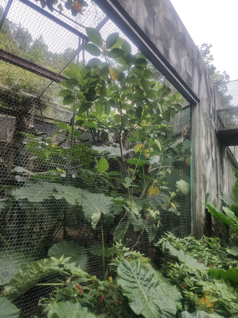 台北動物園_2664068