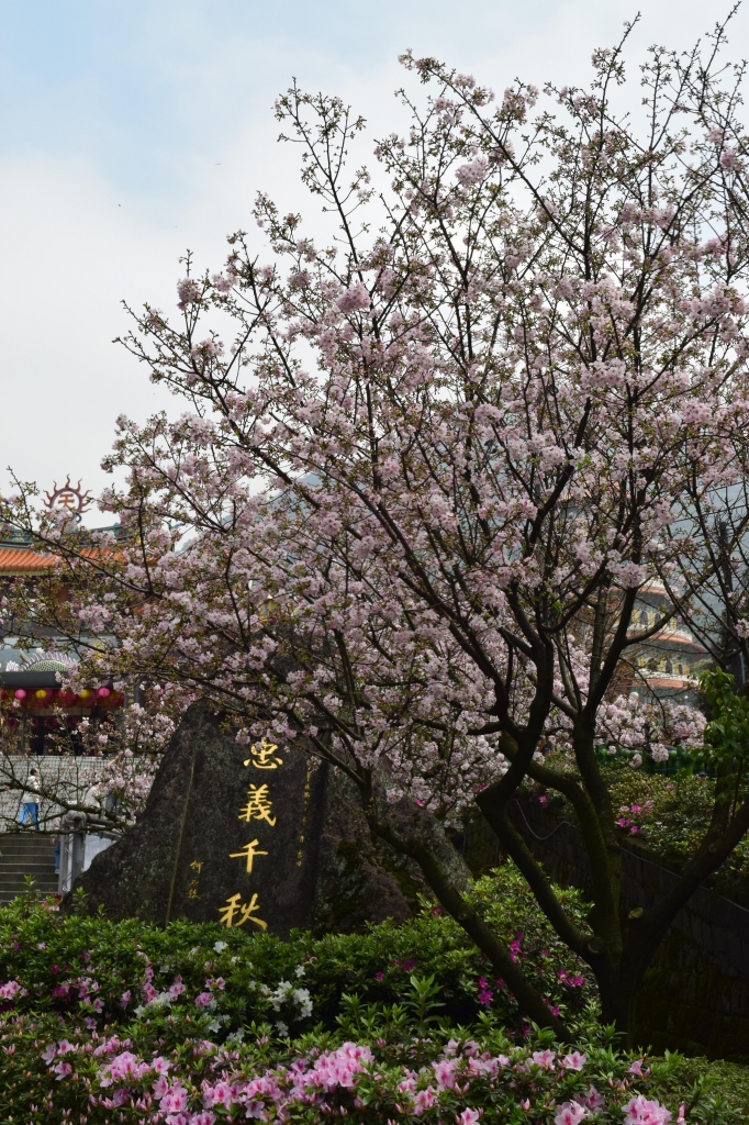 淡水天元宮封面圖