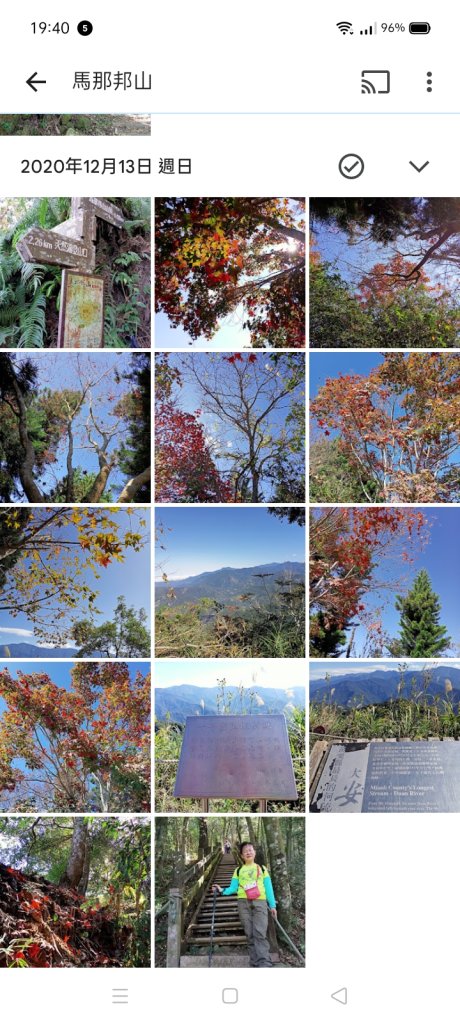 四訪苗栗的花果山-小百岳#037馬那邦山、雪霸國家公園管理處【小百岳集起來、苗栗-臺灣百大必訪步道】_2394383