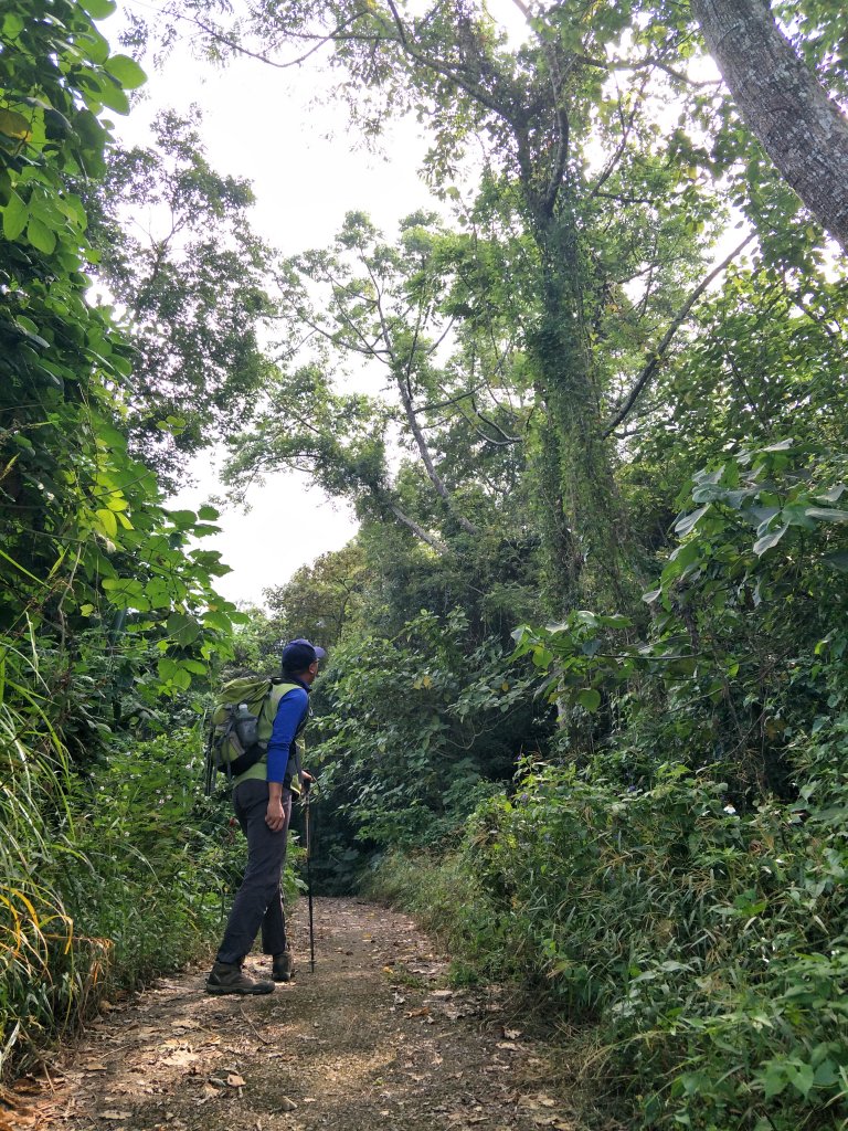 2019 10 29 三腳南山登山步道_717714