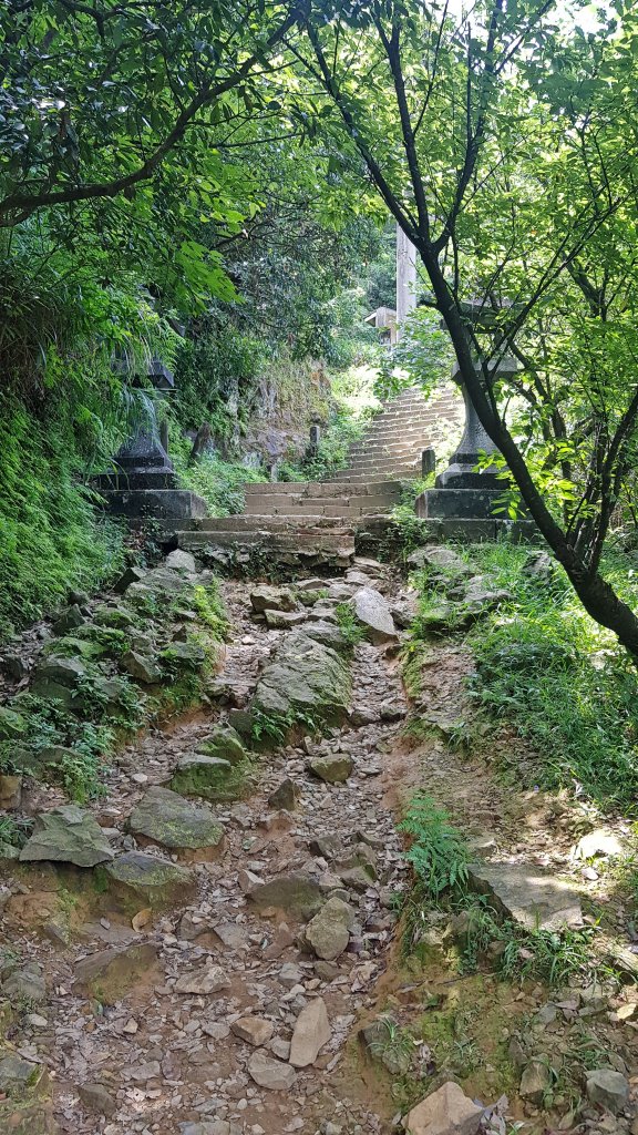 黃金神社步道_630560