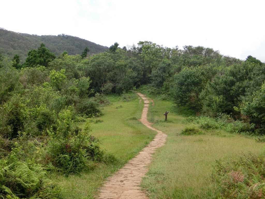 風櫃嘴．頂山．石梯嶺．擎天崗_94358