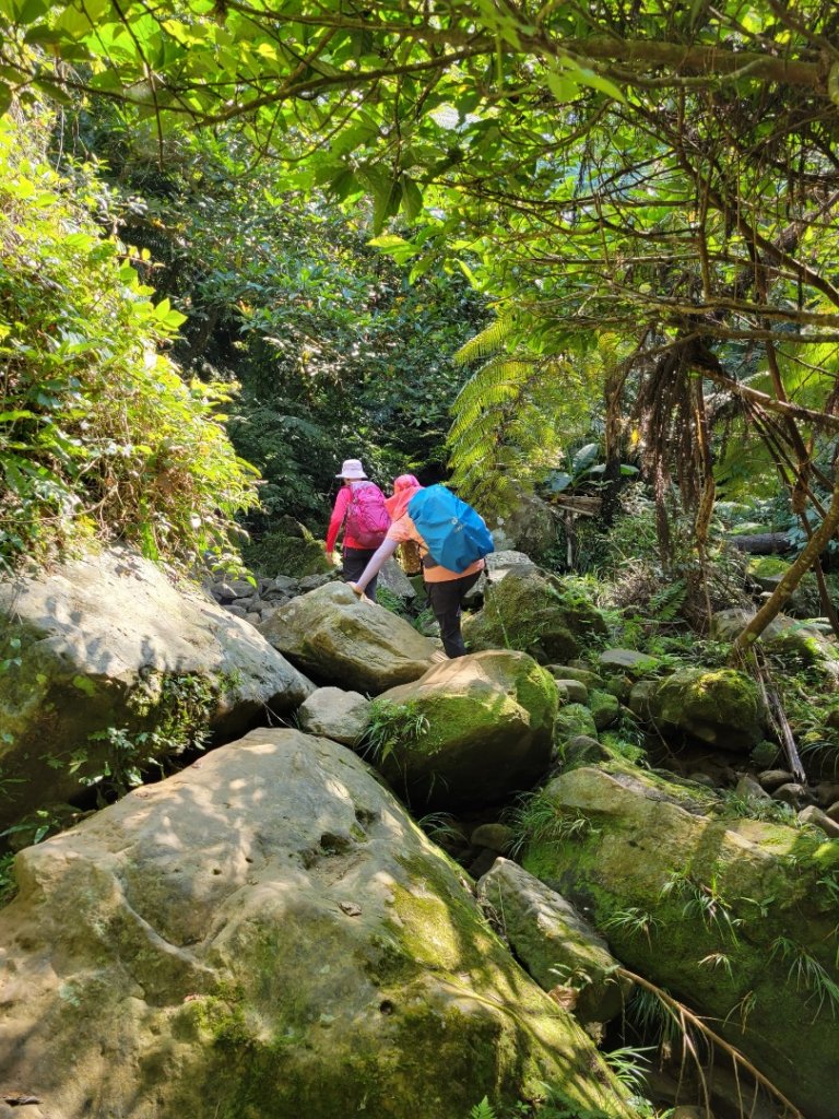 112.03.23 桃園大溪-打鐵寮古道_2082951