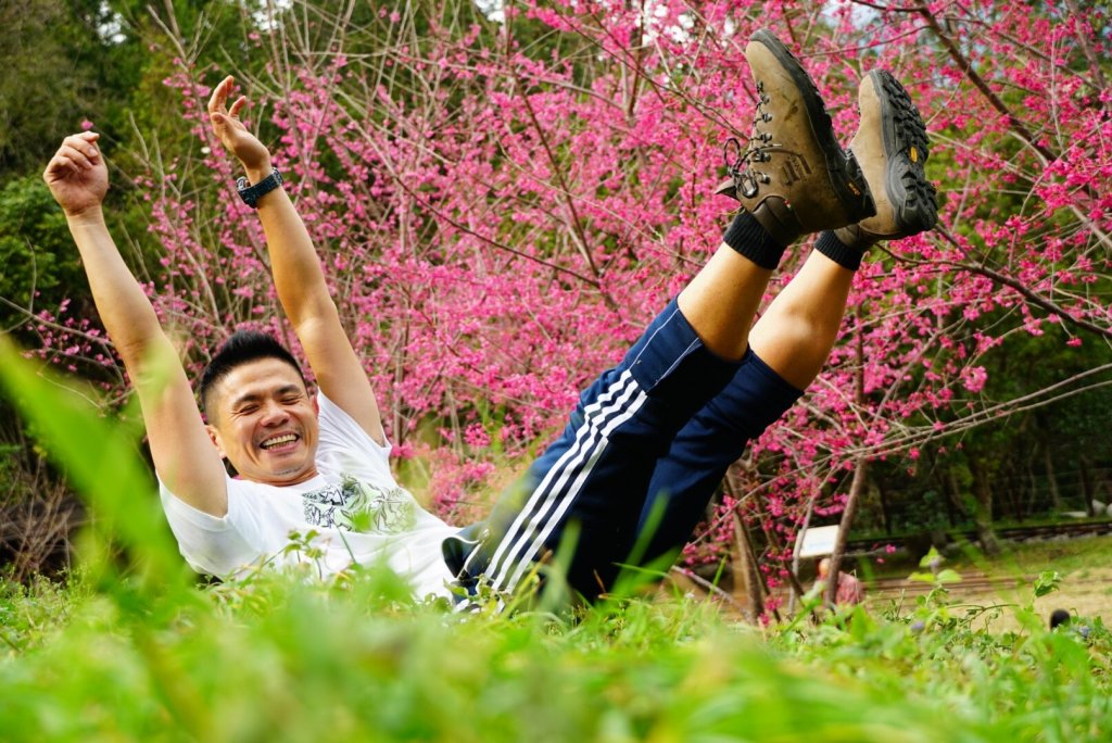 八仙山森林遊樂區【與藍腹鷴漫步在春光裡】封面圖