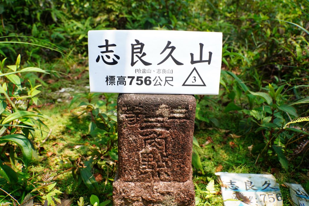 新北 烏來 志良久山封面圖