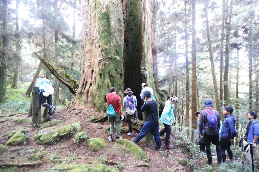水樣森林 第一次在山裡過夜_659377