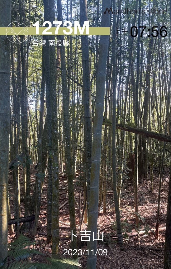 南投魚池-水社大山_2612572