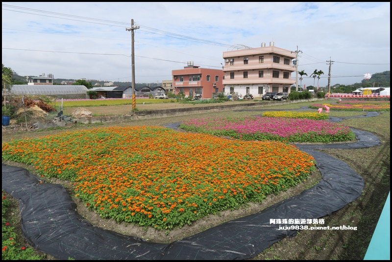 2020桃園花彩節大溪展區繽紛登場_1172317