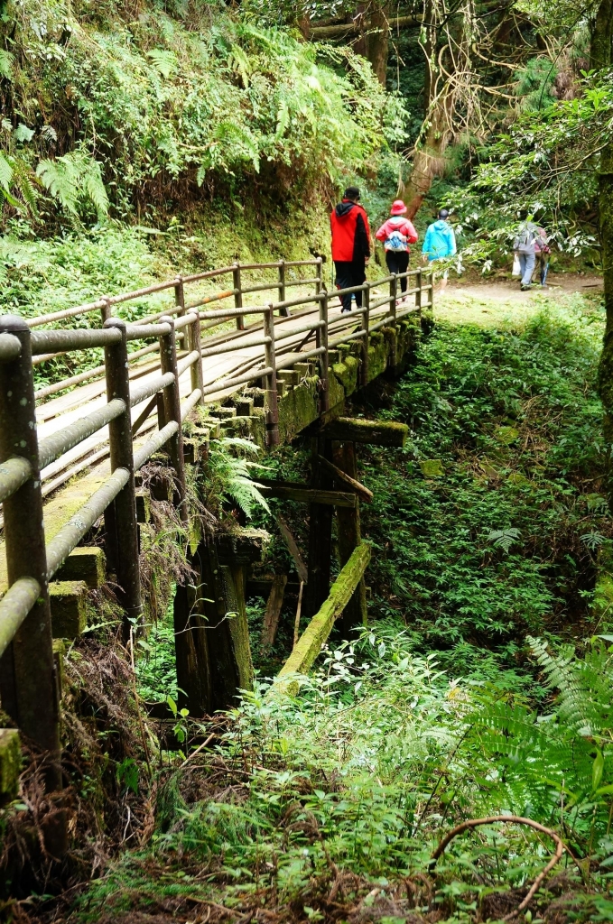 特富野古道_91015