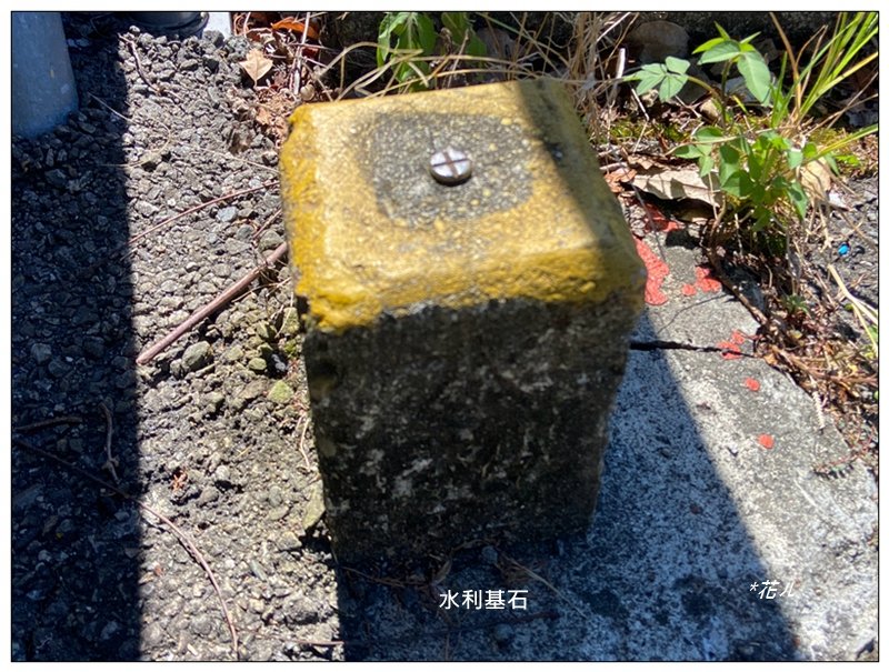 南松鶴山～八仙山 (台中 和平)_2926055