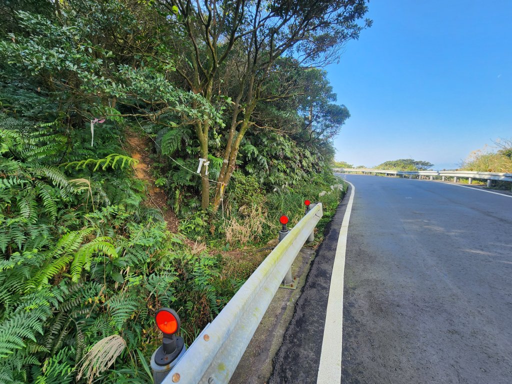 20260110大湖公園捷運站至擎天崗_2993218