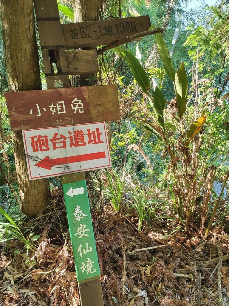 1110723熊佧山&鷂婆山_1776576