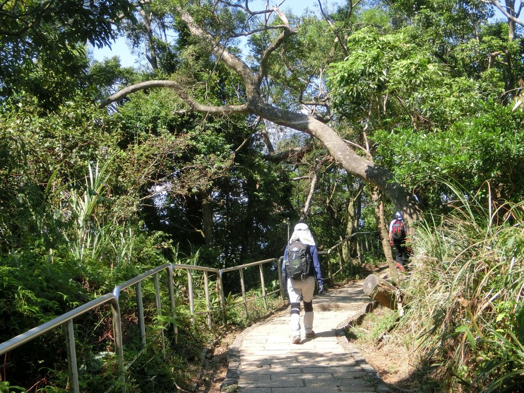 南港山縱走親山步道_173978