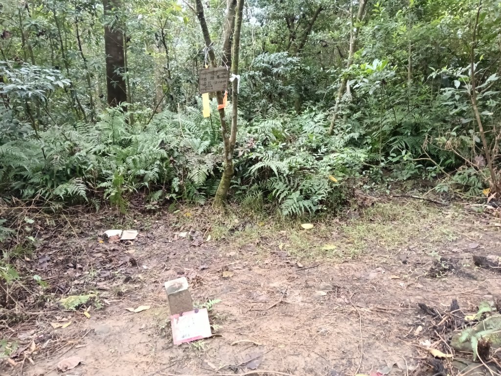 雙溪區石壁坑橋+平林山+武山煤礦土地公+上林山稜線+彎穹越嶺古道+石壁坑橋O型_2991305