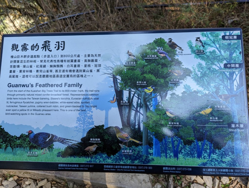 2023.02.25－檜山巨木森林步道_2042039