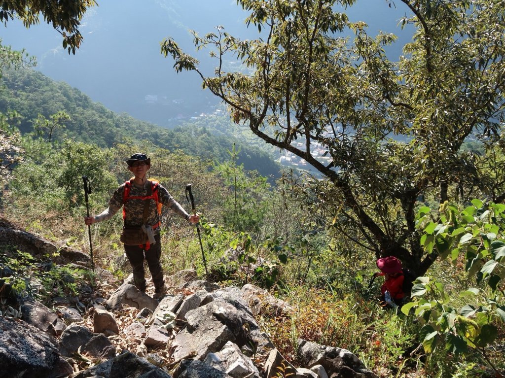 德芙蘭步道上東卯山_488398