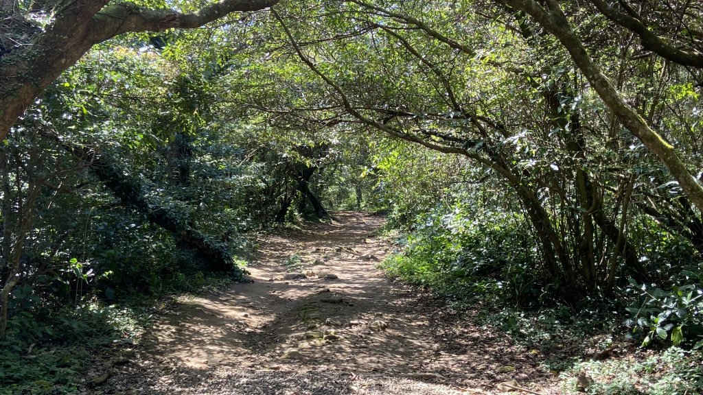 走過火山群-大屯山五連峰縱走_2070617