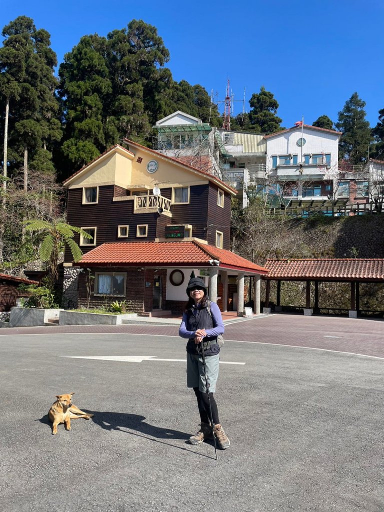 230202-櫻花盛開，梅花暗香，小百岳#068東藤枝山+藤枝山。美美兔預期好天氣，走入山林去。_2038169