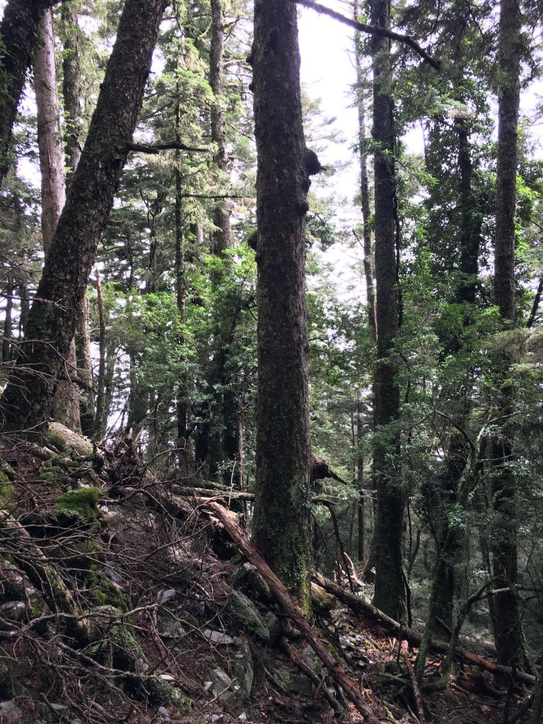 羊頭山一日單攻_175270