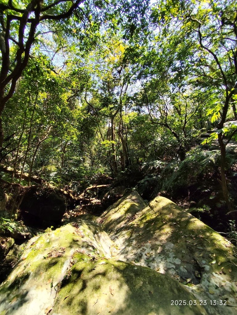 【臺北大縱走 5】碧山巖→忠勇山越嶺步道→金龍產業道路→圓明寺步道→鄭成功廟步道→文間山→劍潭山步道_2744818