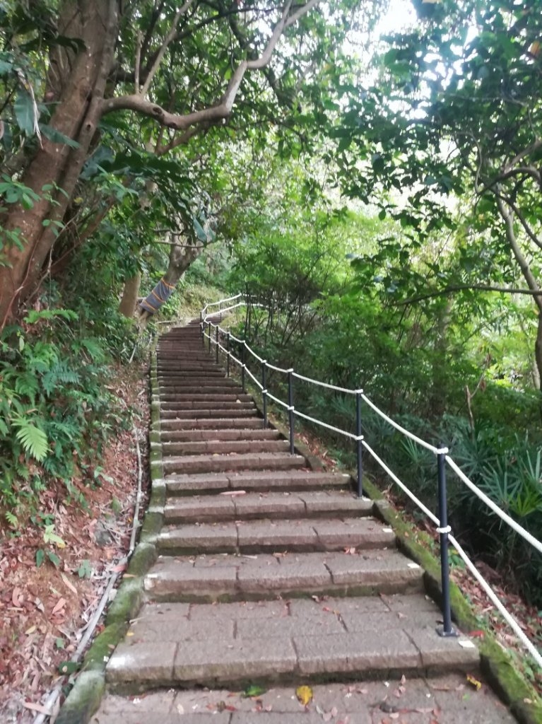 小百岳013號～南港山，幾乎整路爬樓梯，不怕樓梯者限定_1348529