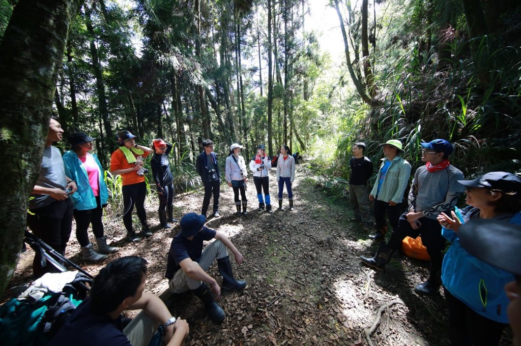 水樣森林 第一次在山裡過夜_658791