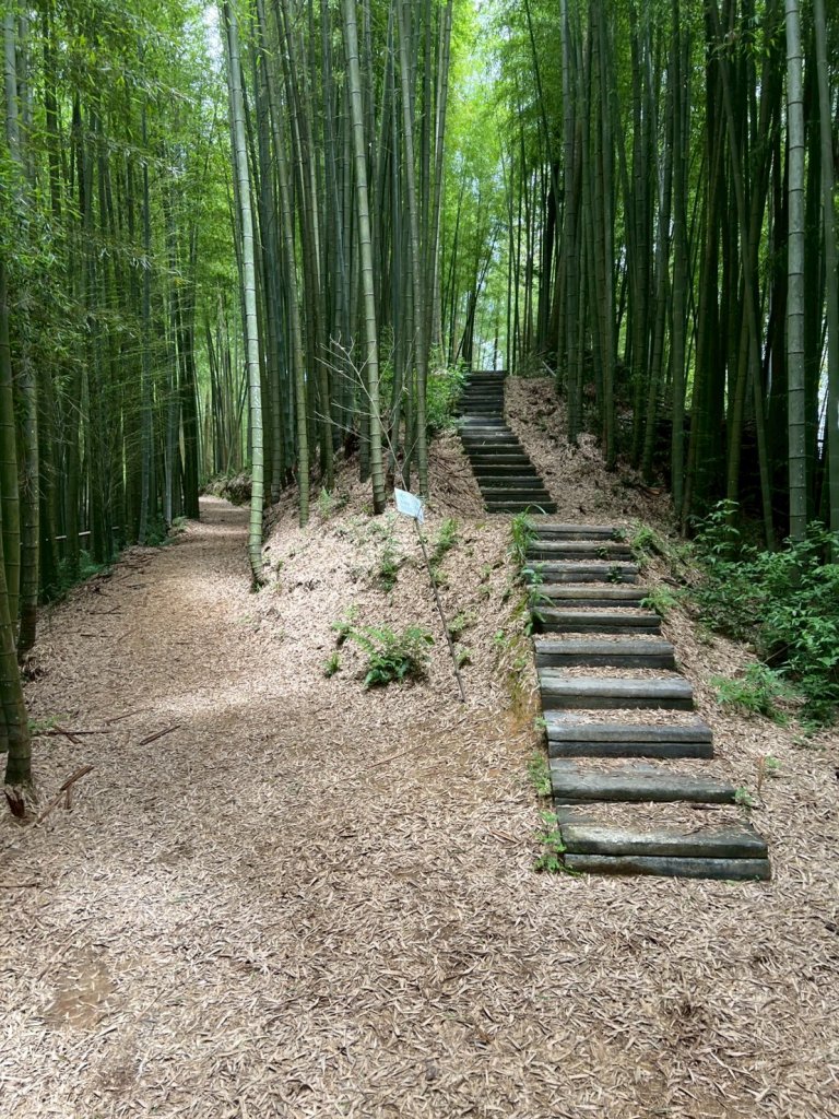 嵐山再古坑。五元兩角 木馬古道_2806166