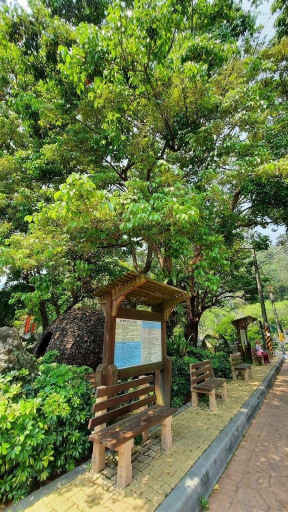 《苗栗》鳴鳳古道｜樟之細路古道巡禮20210402_1330577