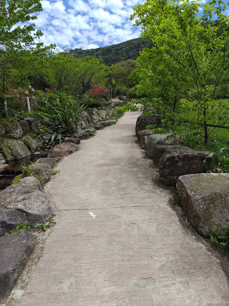 臺北大縱走第二段 二子坪至小油坑_2747468