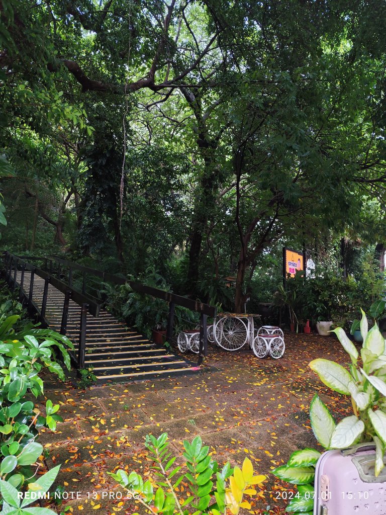 芝山岩健走步道、士林雨聲街、貓頭鷹之家、芝山巖聖佑宮、芝山文化生態綠園、忠誠公園【臺北健走趣】_2541238