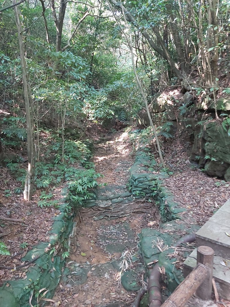 【基隆安樂】情人環山步道&大武崙砲台_1013013