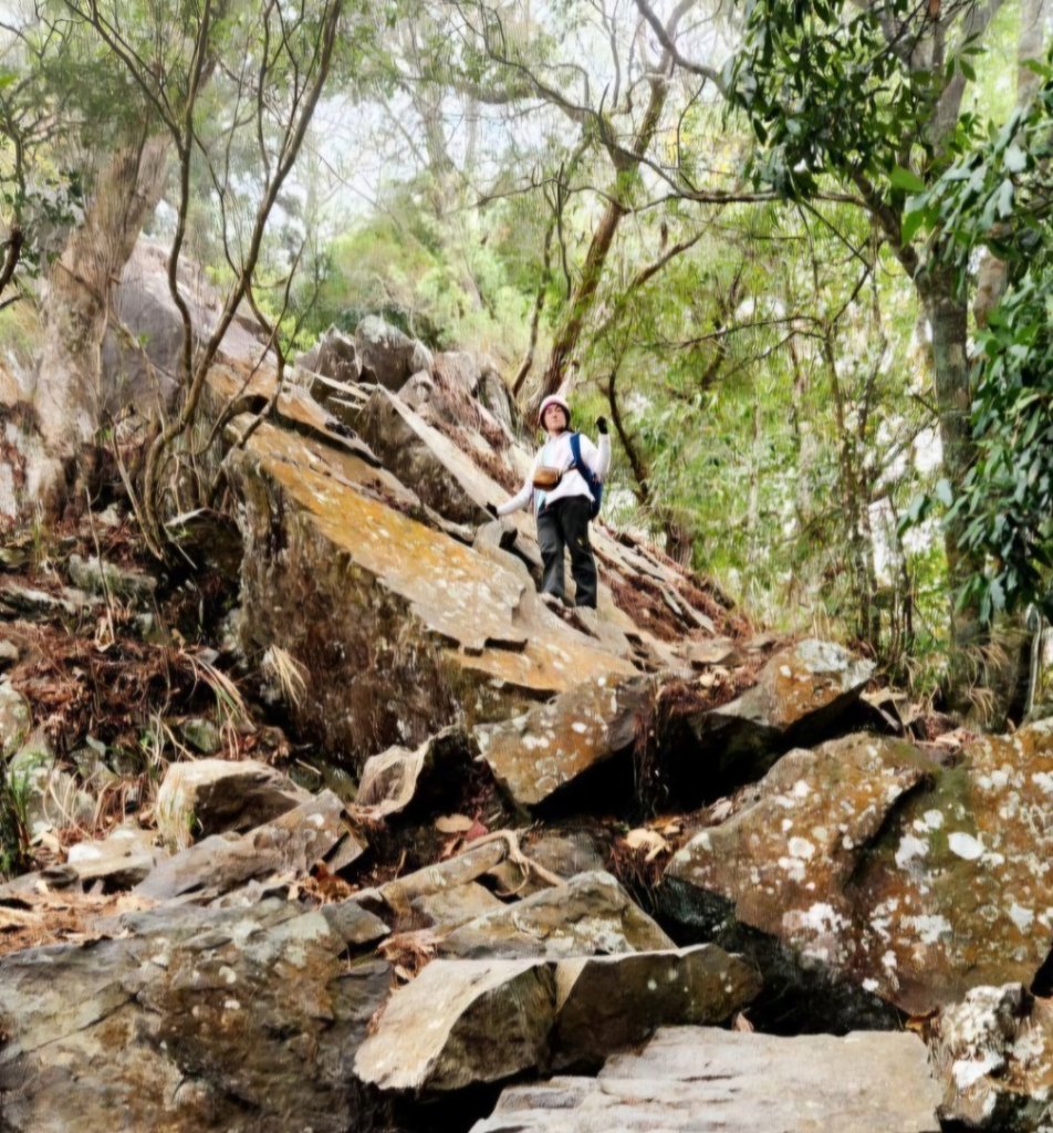 【中級山】谷關七雄波津加山_2742297