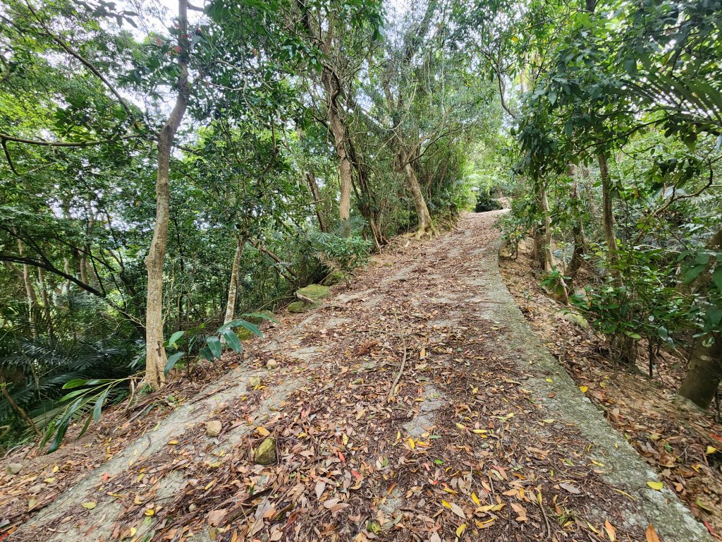 20250329東坑山八角崠山打鹿坑山_2798876