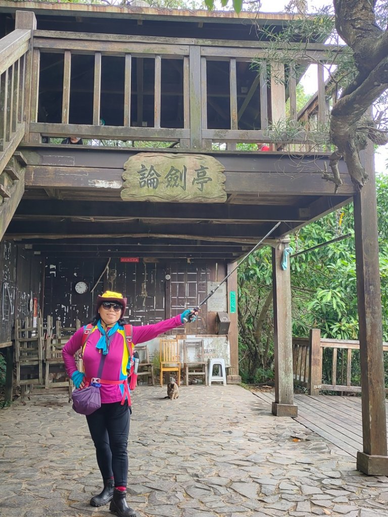 ［金劍縱走］（金面山~劍潭山）（2023/11/14）_2352825