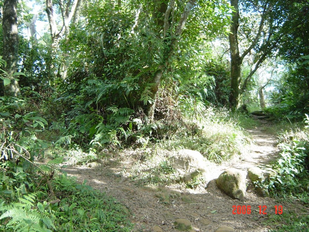 溪洲山&大艽芎古道2006219_1957950