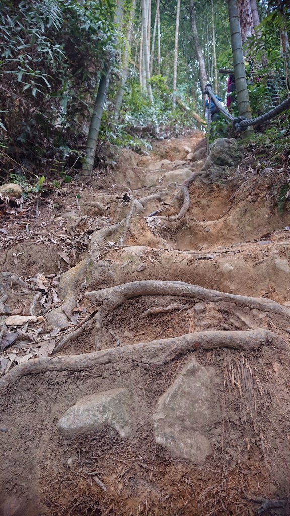 20210418水社大山_1618235