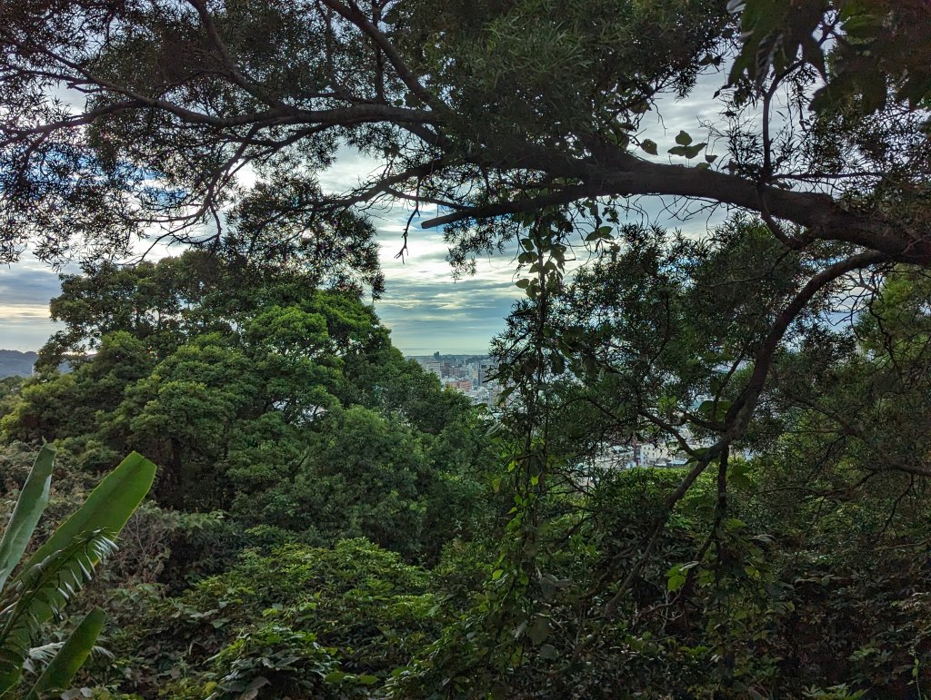 2023-09-08 十八尖山步道_2792883