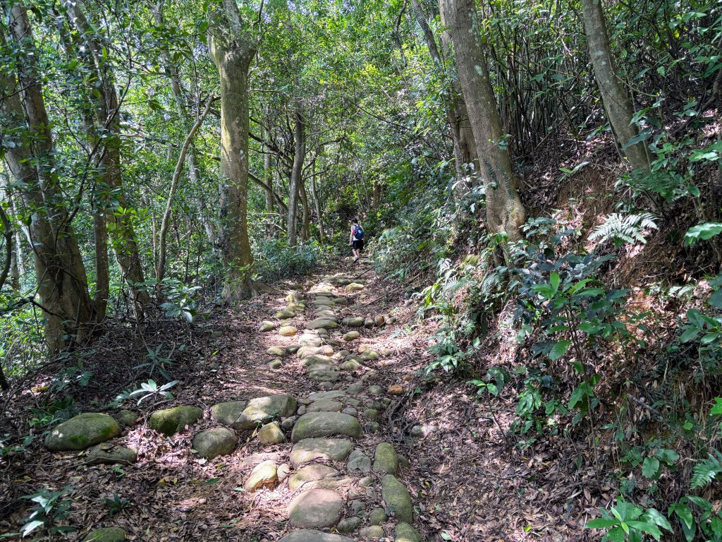 三段崎古道_2835588